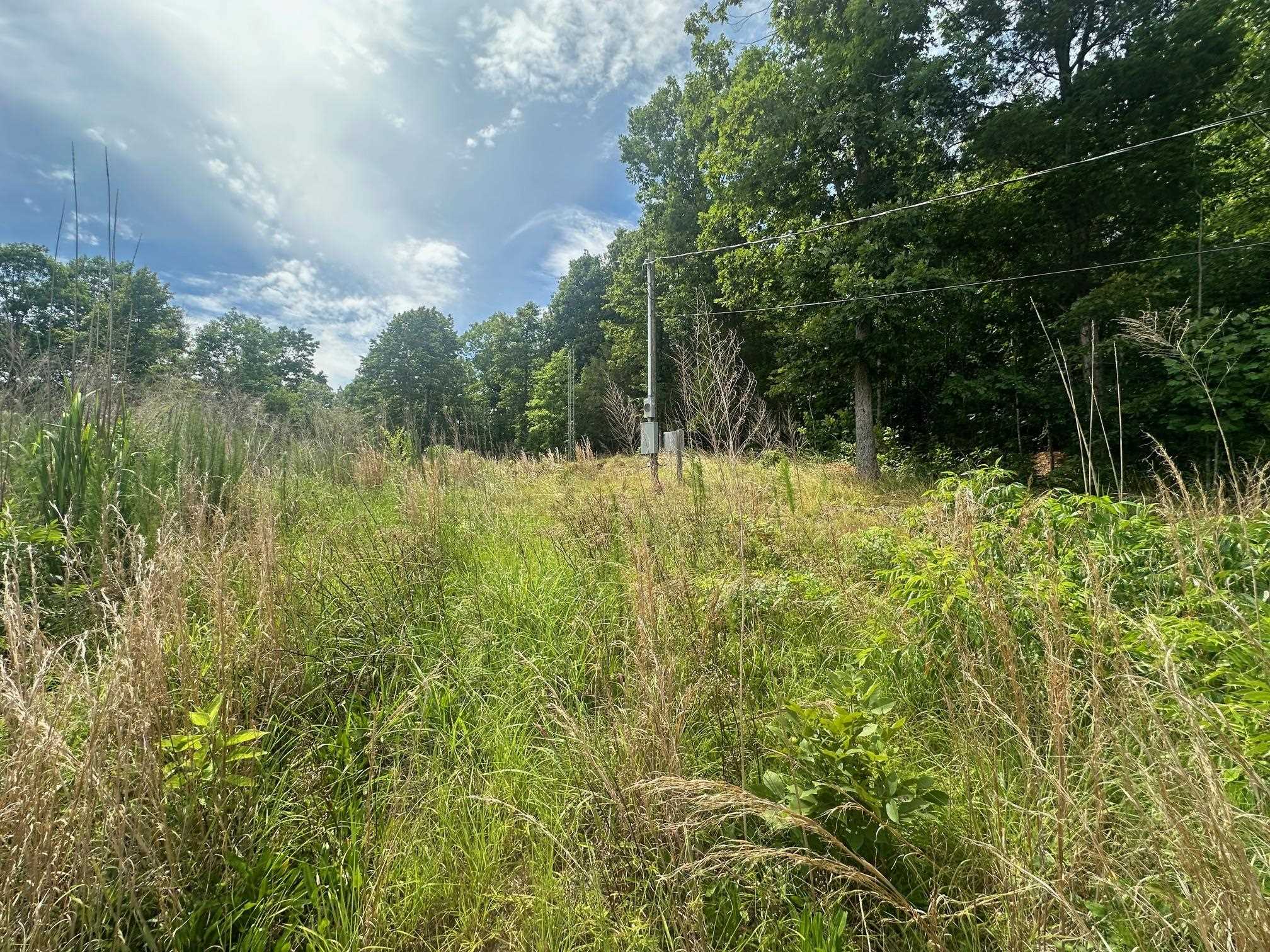 0 Clay Loop Savannah, TN 38372 - Photo 11 of 18 a view of a garden