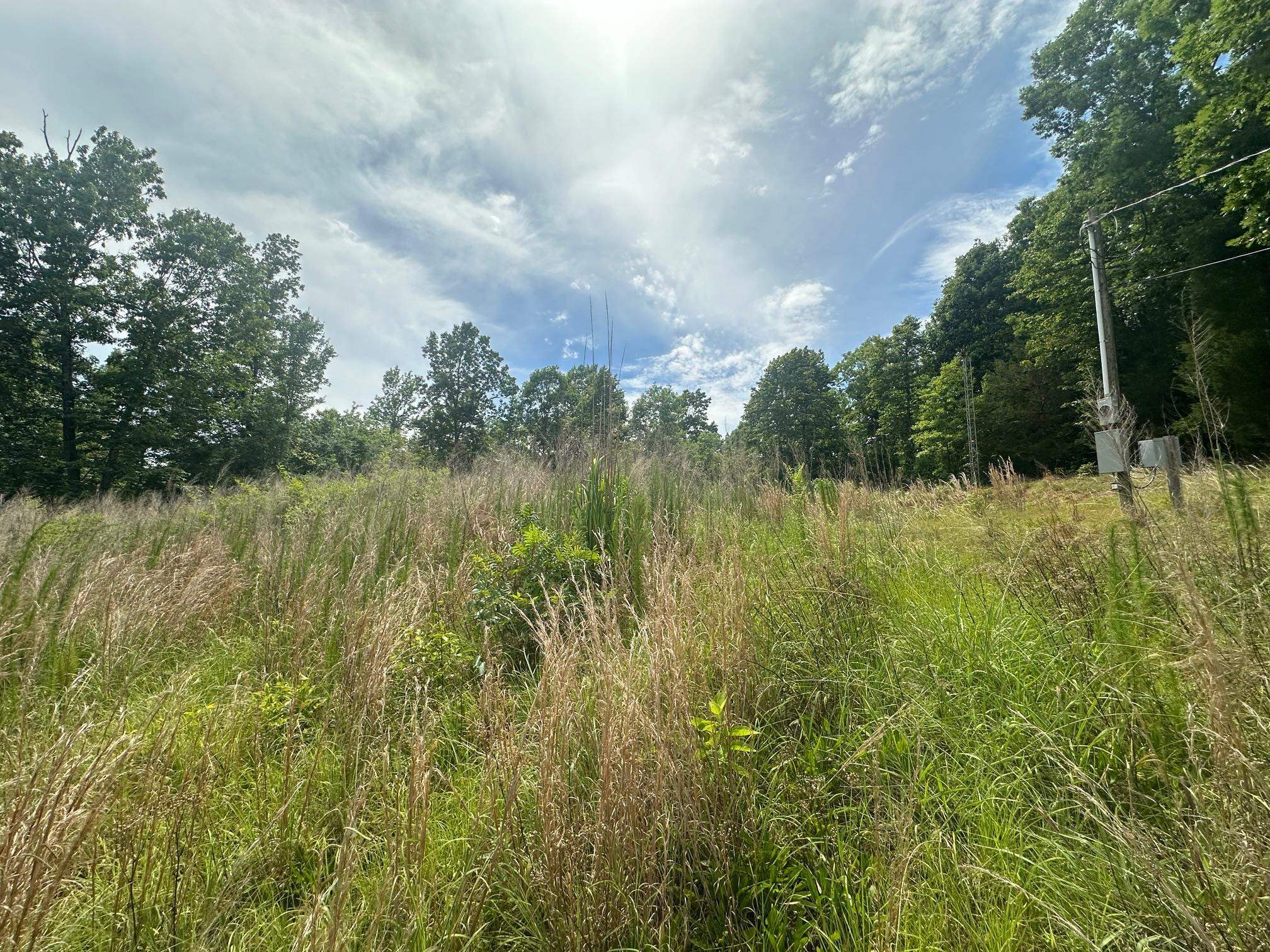 0 Clay Loop Savannah, TN 38372 - Photo 12 of 18 a view of a lake with a yard