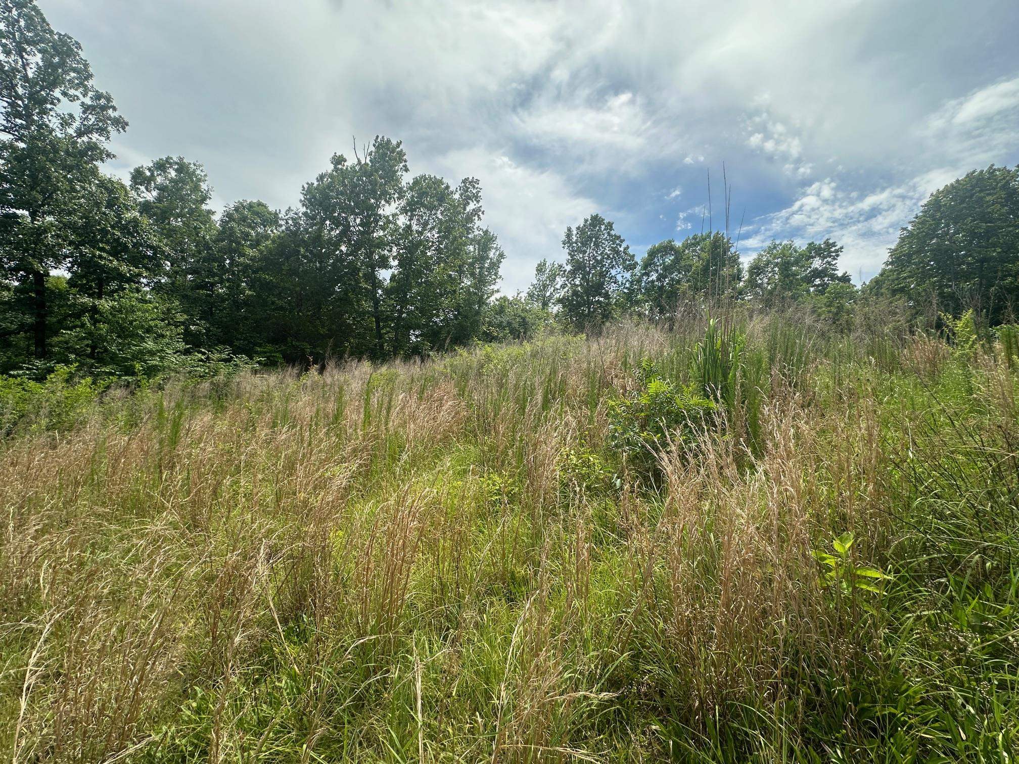 0 Clay Loop Savannah, TN 38372 - Photo 13 of 18 a view of lake with green space
