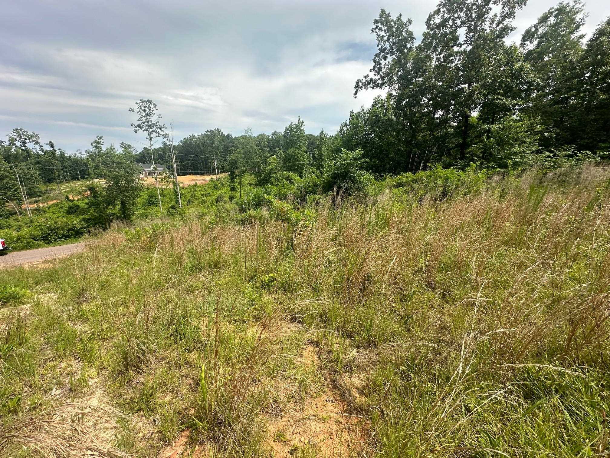 0 Clay Loop Savannah, TN 38372 - Photo 14 of 18 a view of a lake with a house in the background