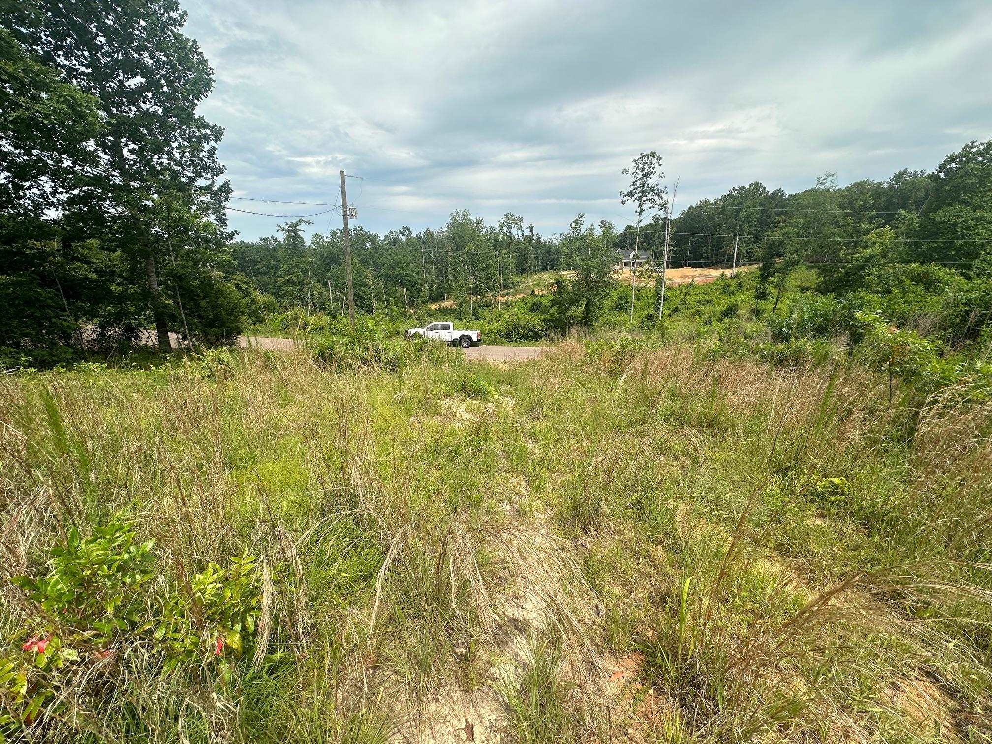 0 Clay Loop Savannah, TN 38372 - Photo 15 of 18 a view of a big yard with large trees