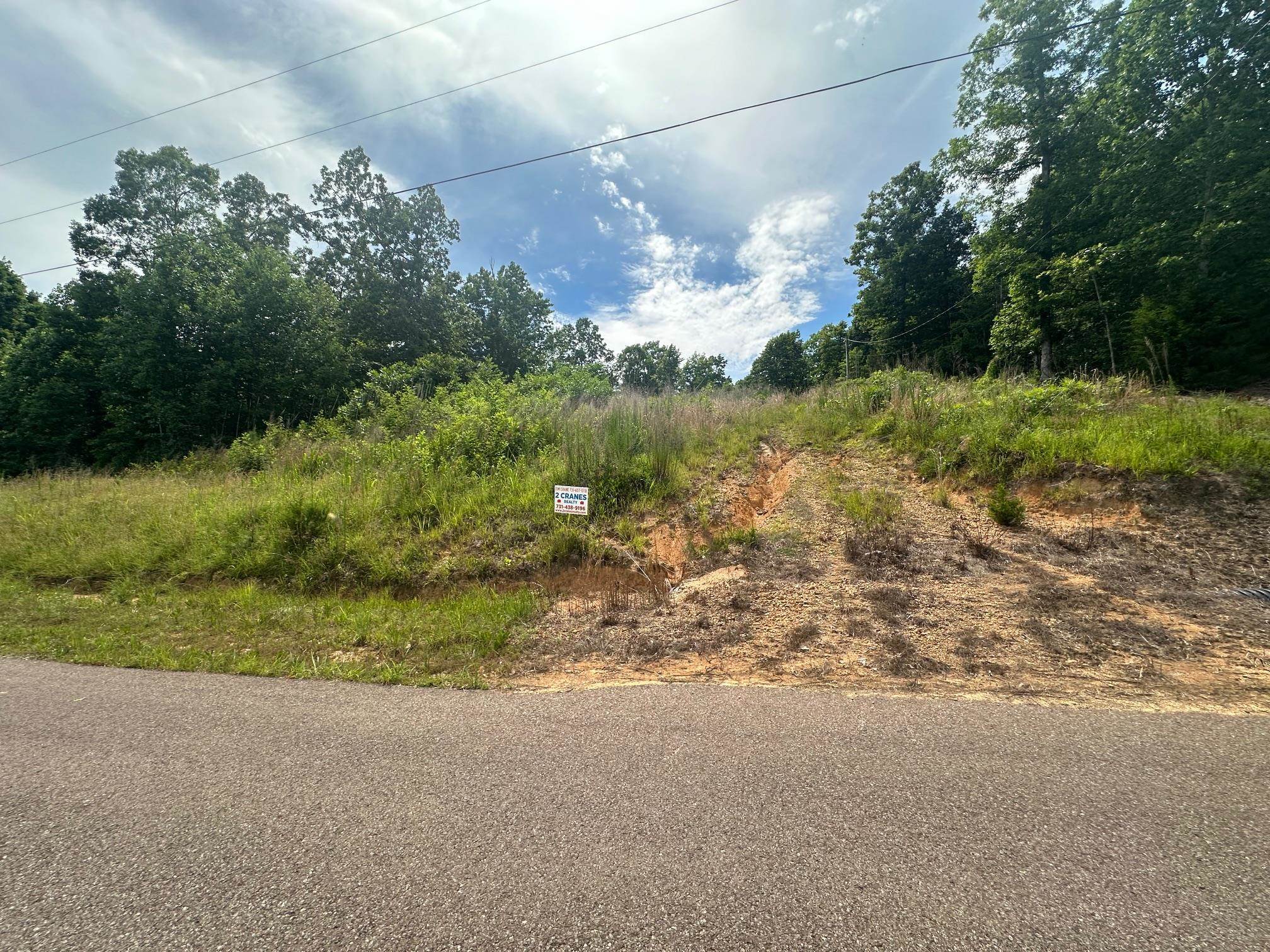 0 Clay Loop Savannah, TN 38372 - Photo 16 of 18 a view of a yard