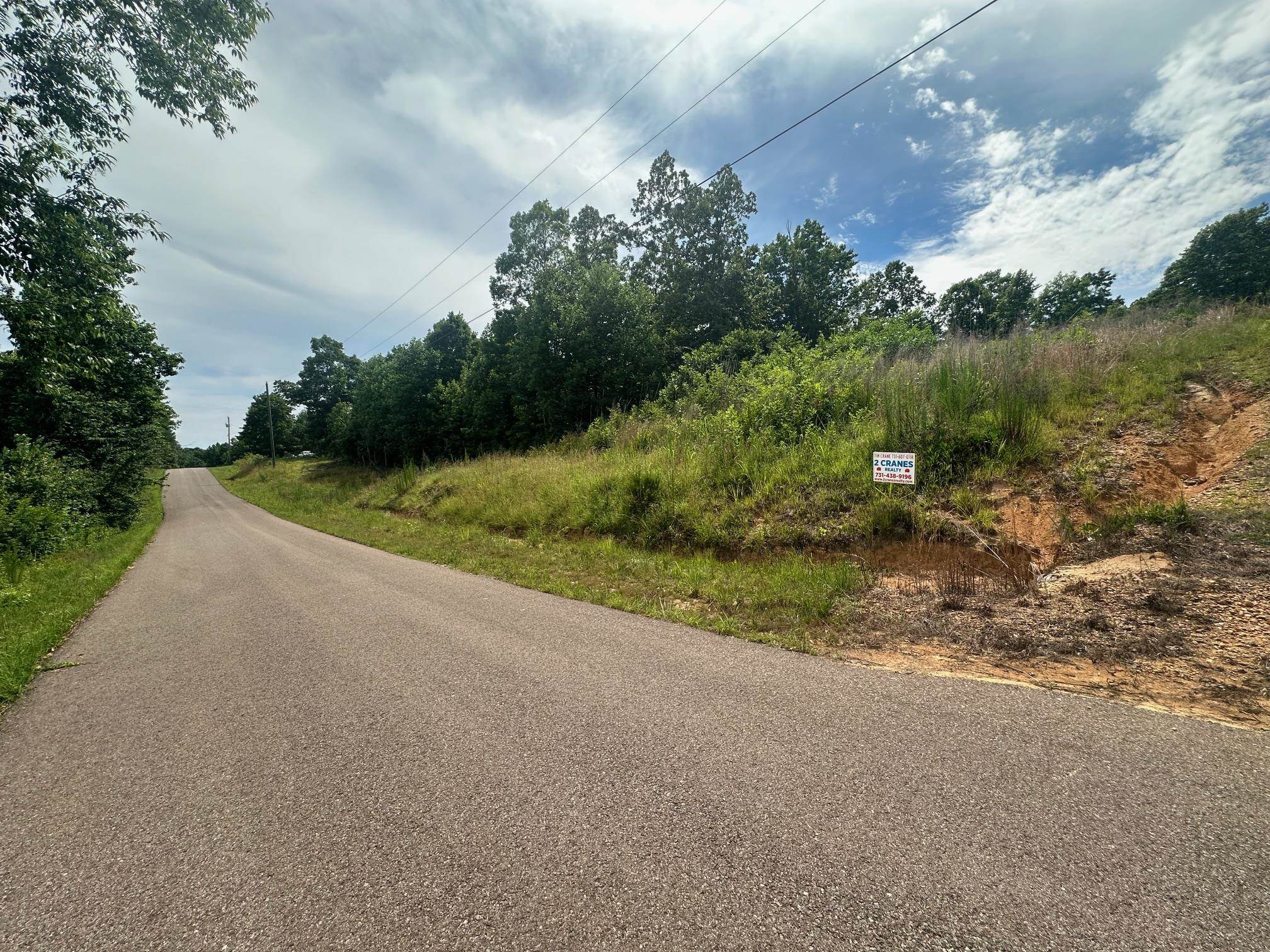0 Clay Loop Savannah, TN 38372 - Photo 17 of 18 a view of a road with a yard