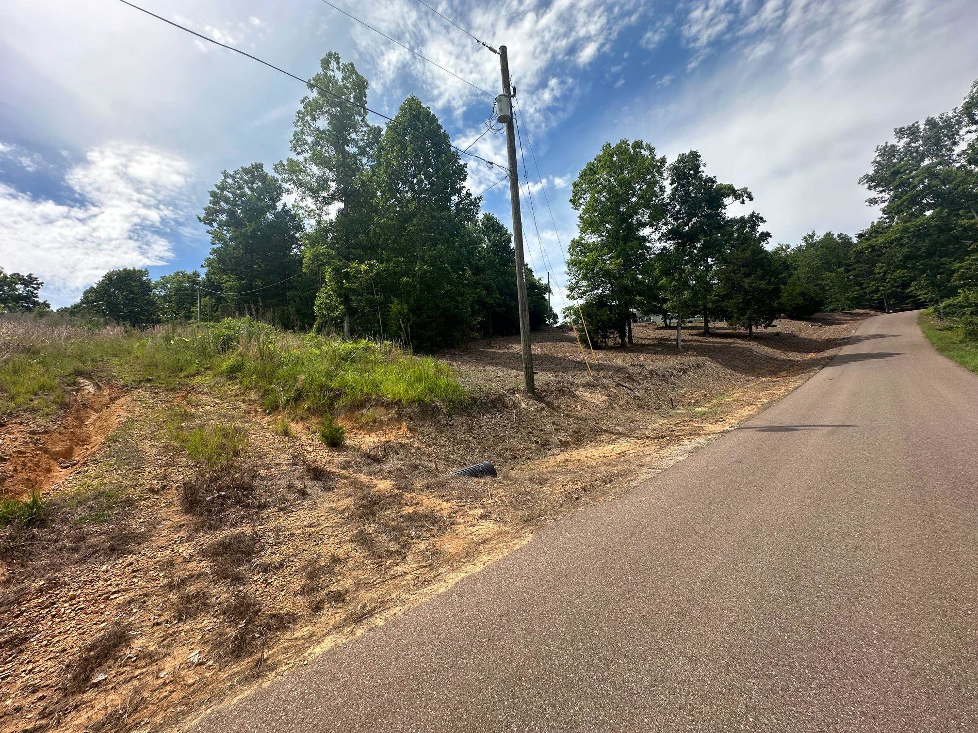 0 Clay Loop Savannah, TN 38372 - Photo 18 of 18 a view of a yard with a tree