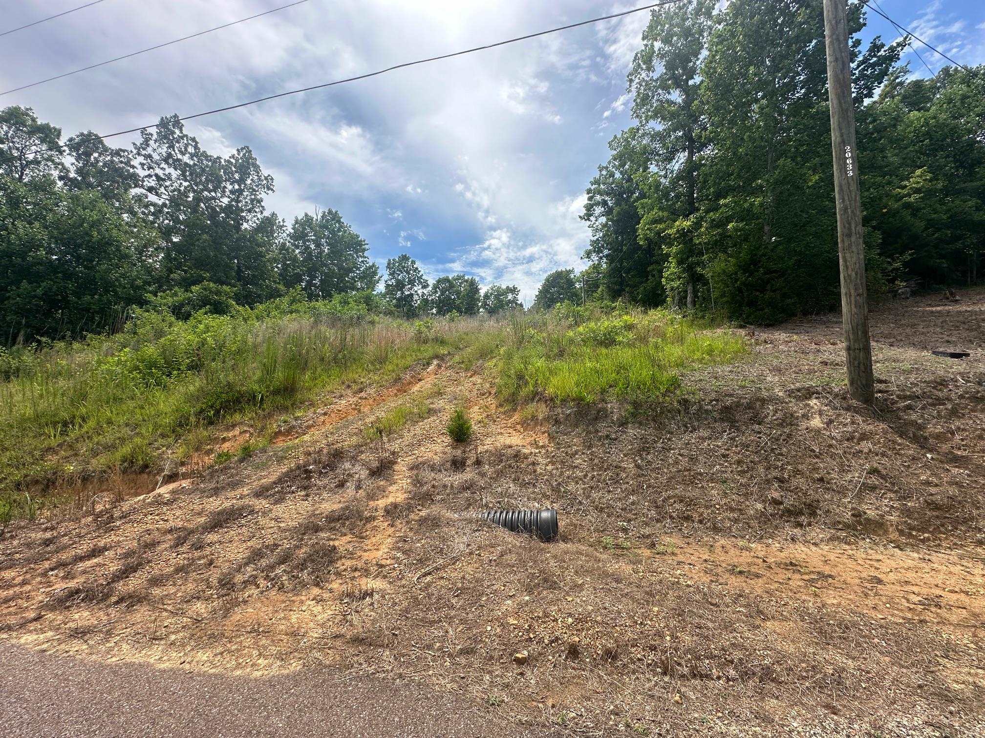 0 Clay Loop Savannah, TN 38372 - Photo 4 of 18 a view of a yard with a tree