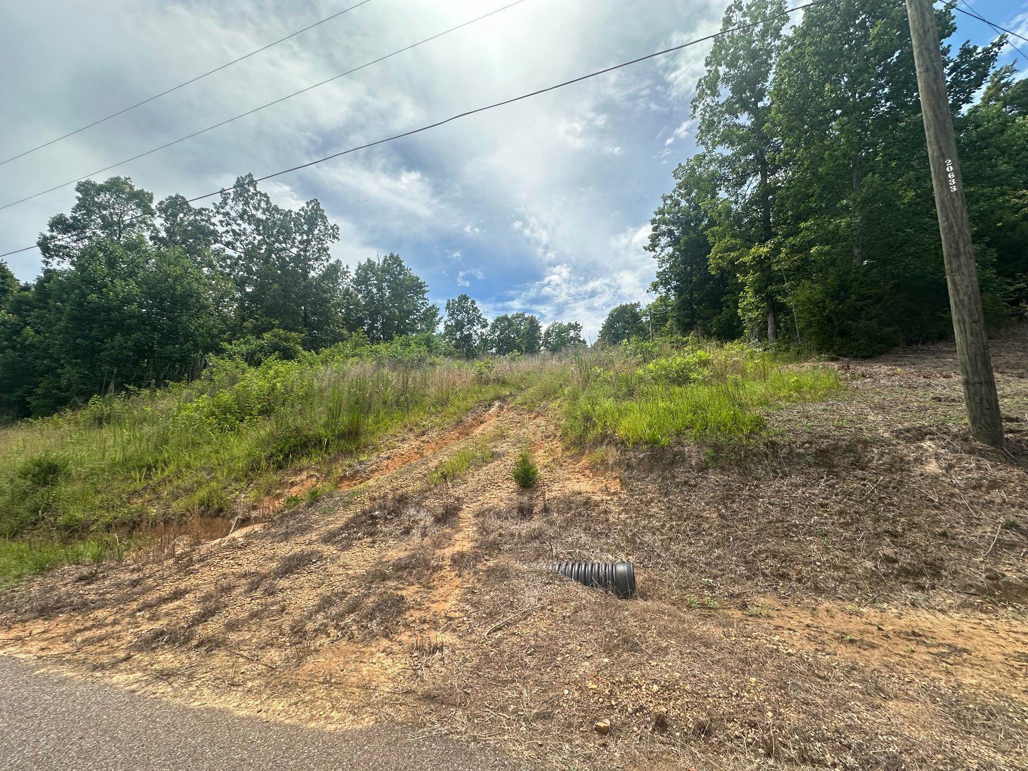 0 Clay Loop Savannah, TN 38372 - Photo 5 of 18 a view of a yard with a tree