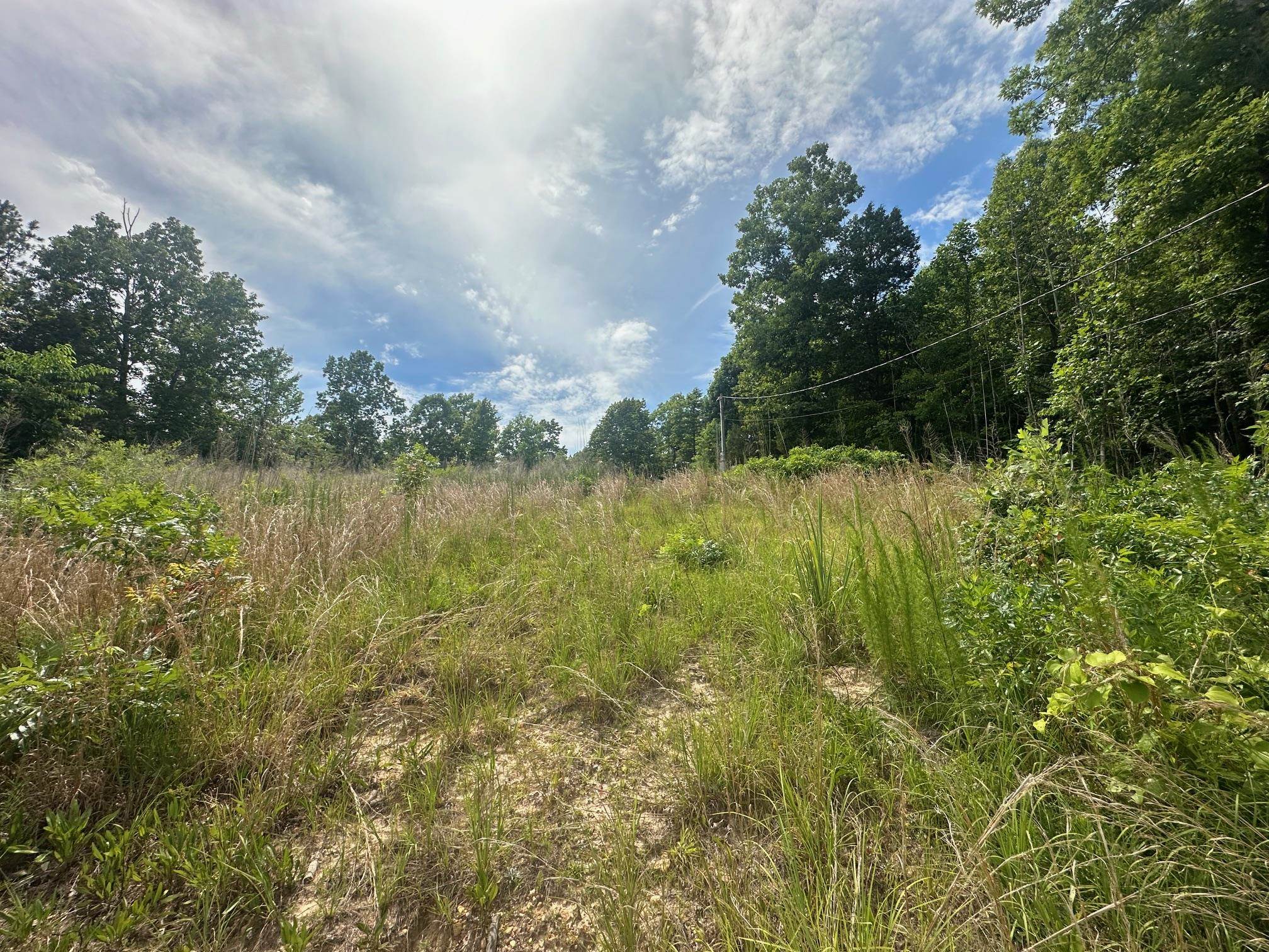 0 Clay Loop Savannah, TN 38372 - Photo 8 of 18 a view of lake with green space
