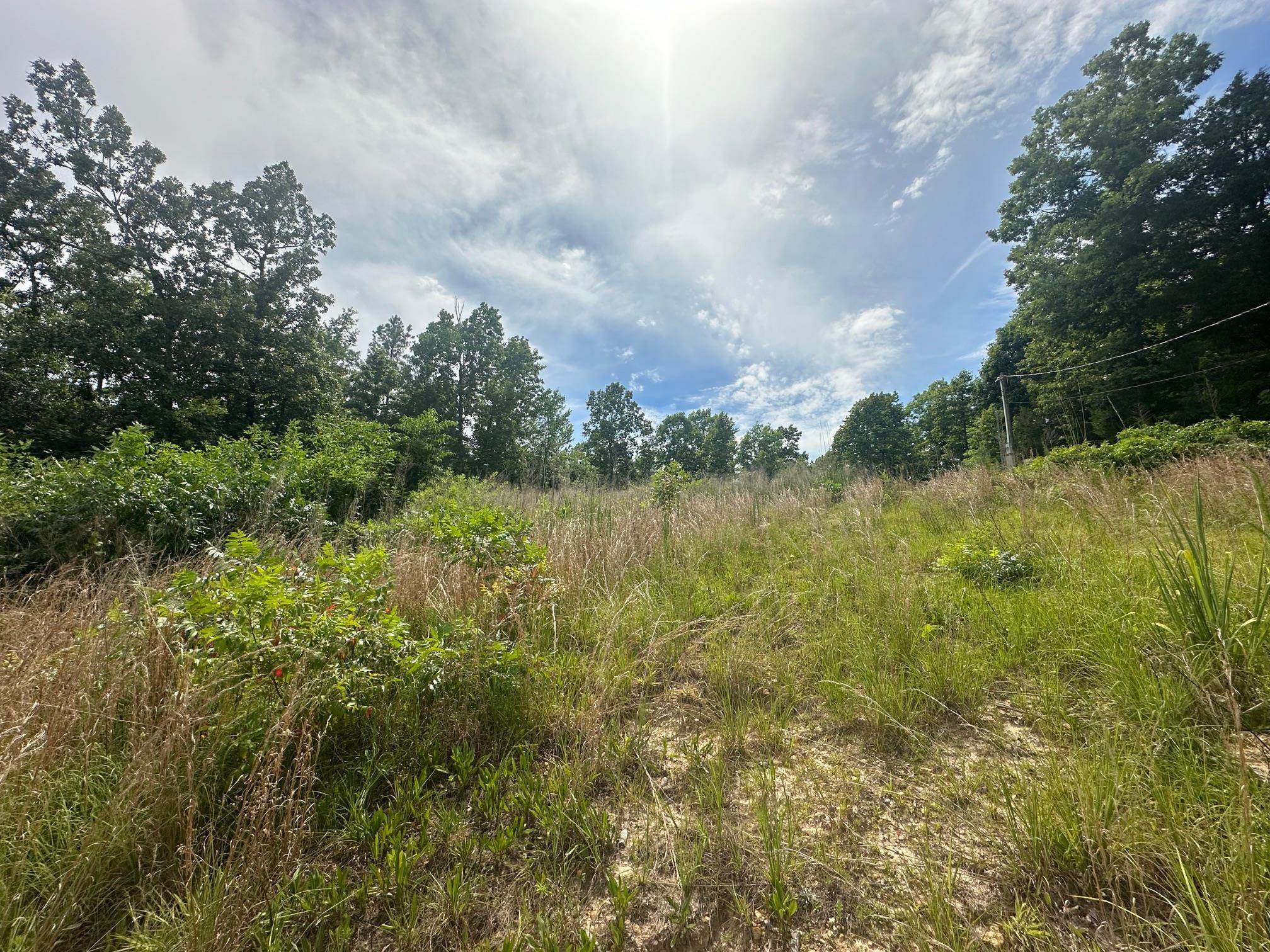 0 Clay Loop Savannah, TN 38372 - Photo 9 of 18 a view of lake with green space