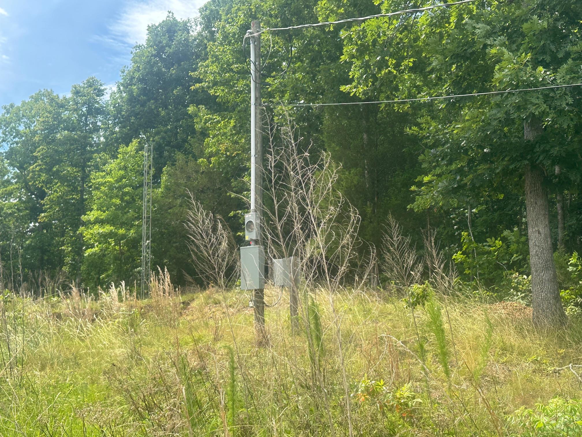 0 Clay Loop Savannah, TN 38372 - Photo 10 of 18 a view of a garden