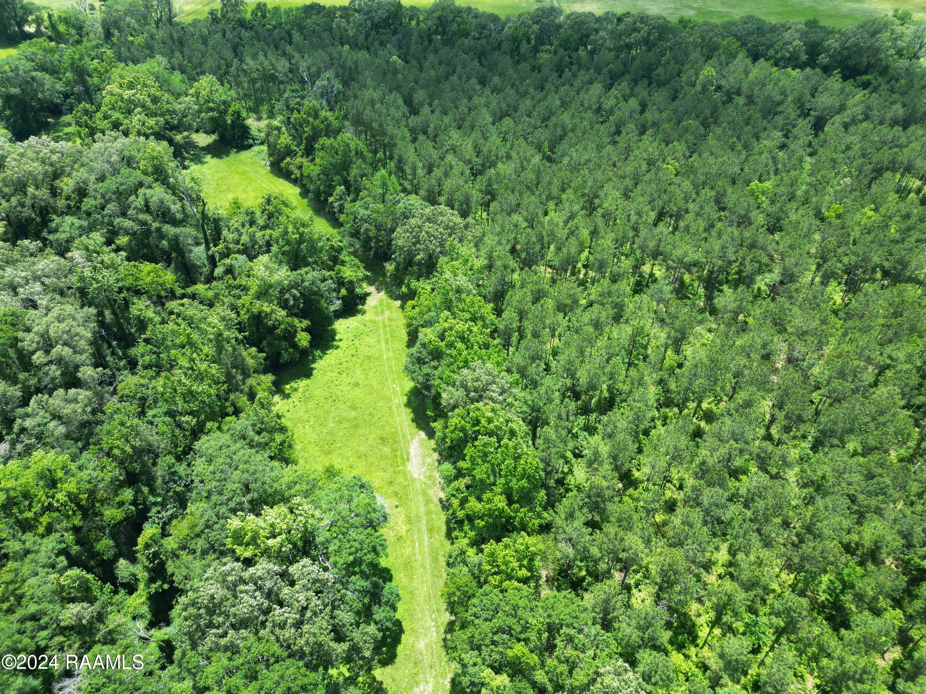 0 Herbert Ortego Road Washington, LA 70589 - Photo 14 of 18