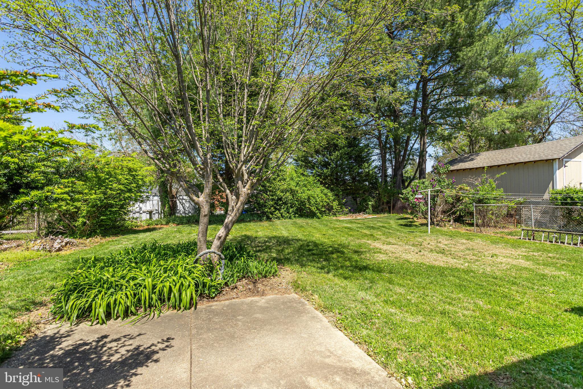 1109 Chiswell Lane Silver Spring, MD 20901 - Photo 7 of 12 Rear yard Patio view