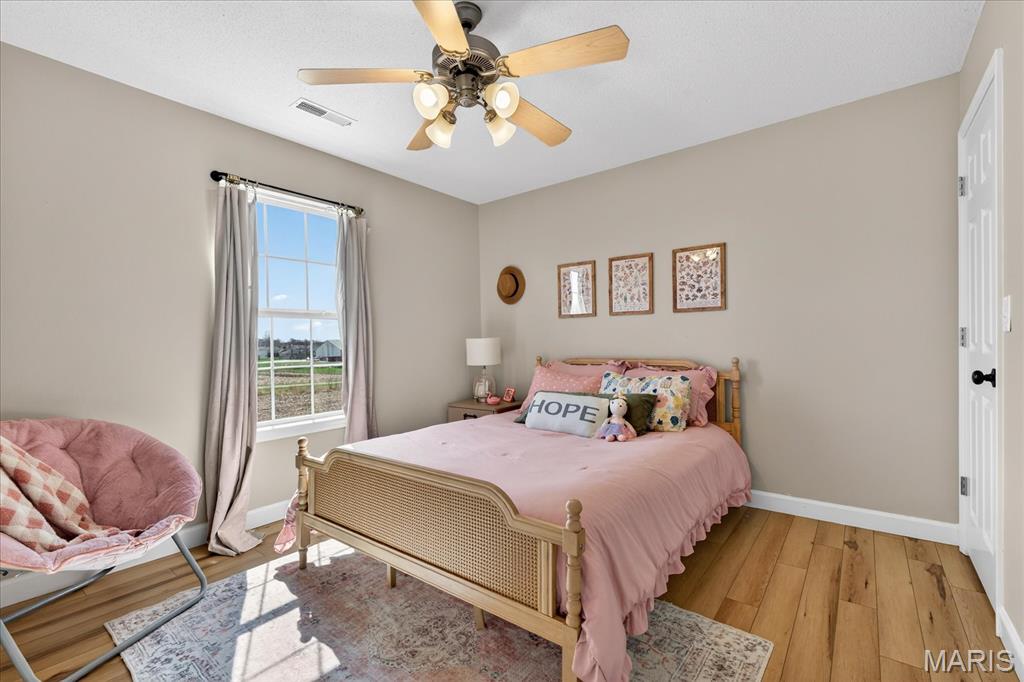 7008 Bellingham Circle O'Fallon, IL 62269 - Photo 26 of 47