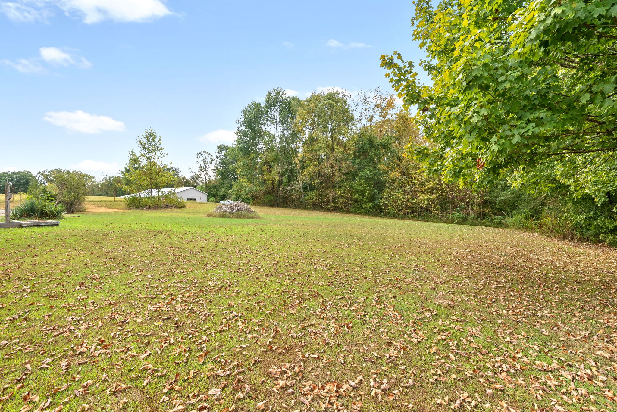 2533 Kelly Willis Road Greenbrier, TN 37073 - Photo 9 of 28 Gallery Image 9