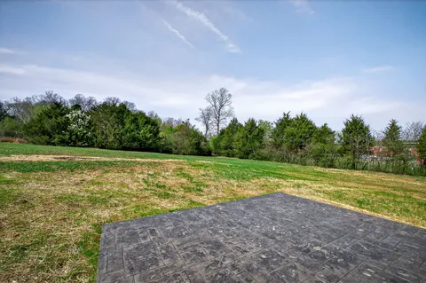 a view of a field with an ocean