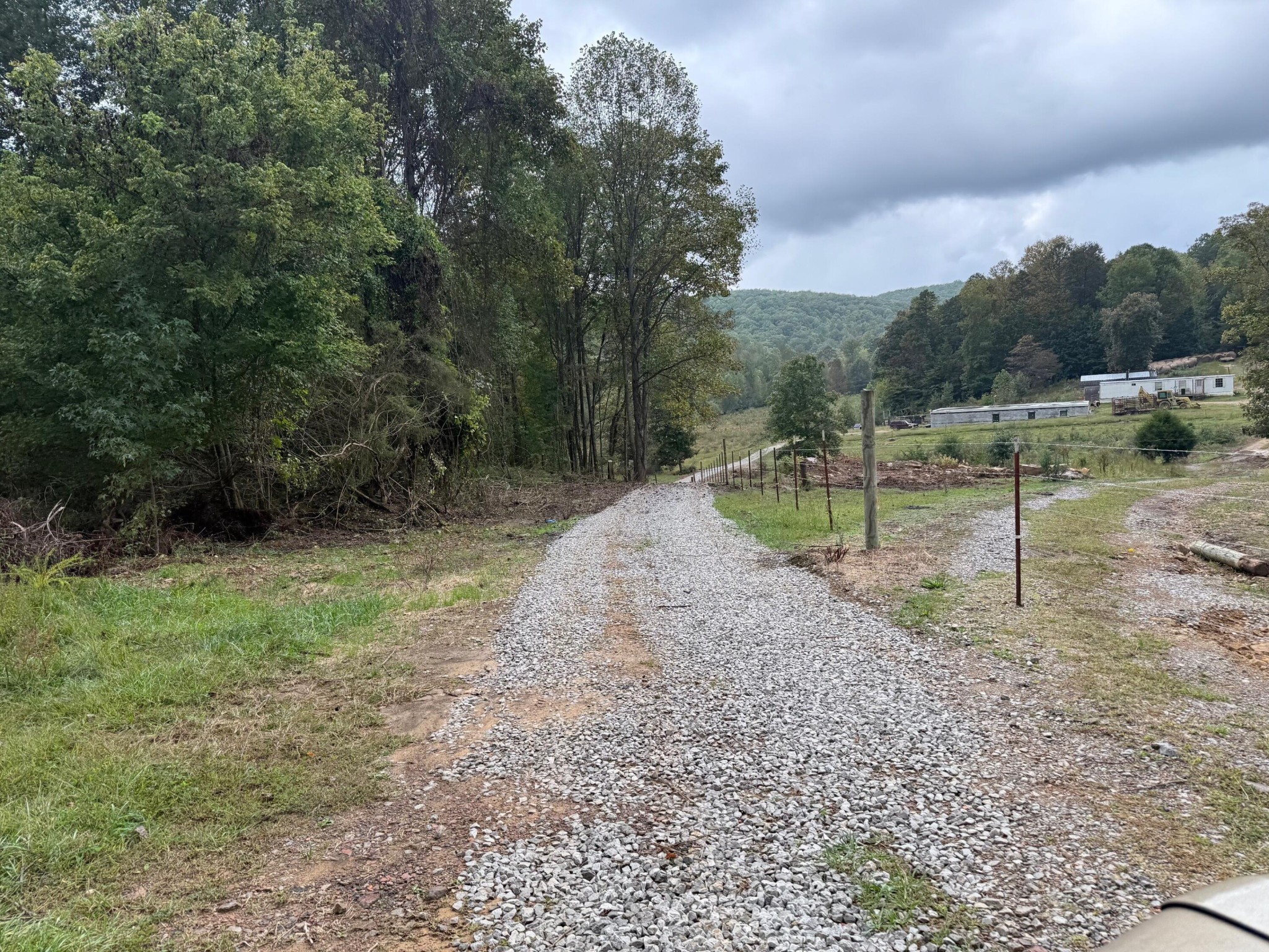 14 Sawmill Road Palmer, TN 37365 - Photo 12 of 12 a view of backyard with green space