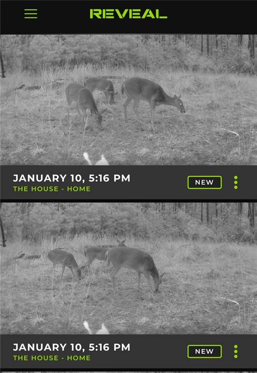 1332 James Branch Road Dry Prong, LA 71423 - Photo 38 of 39 Gallery Image 38