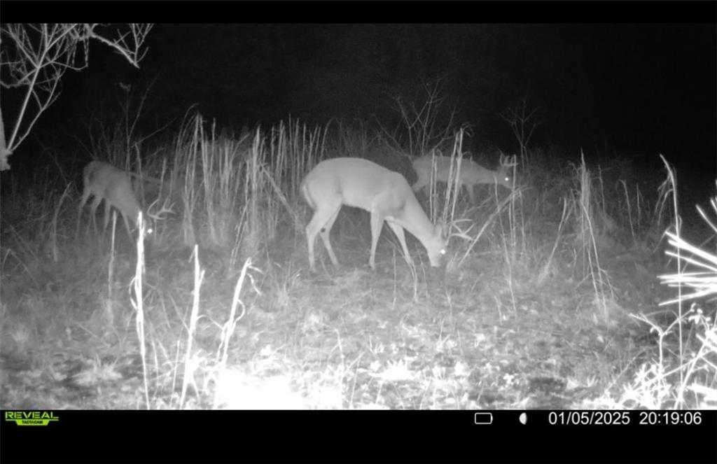 1332 James Branch Road Dry Prong, LA 71423 - Photo 39 of 39 Gallery Image 39