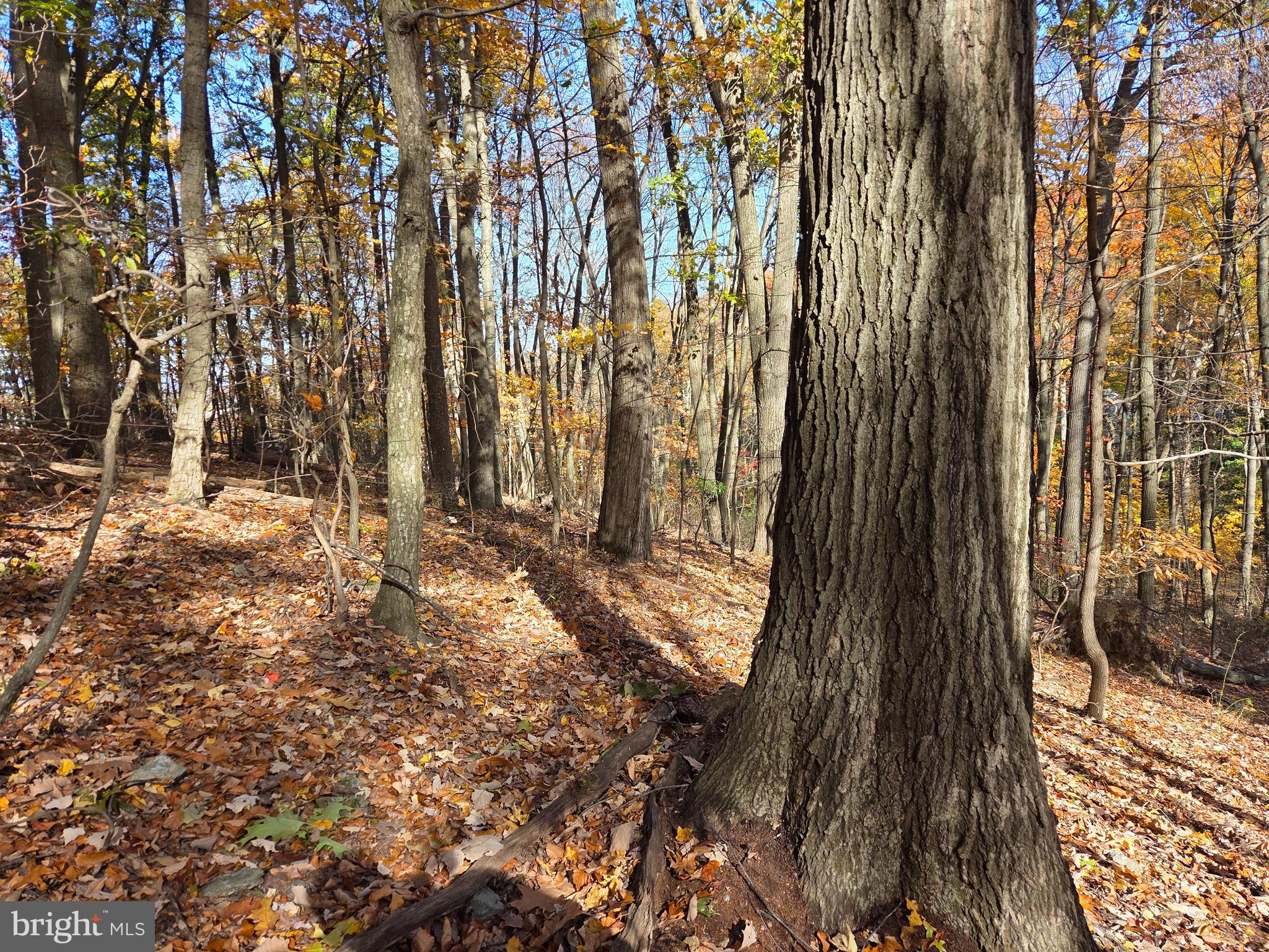 8620 Monns Gap Road Waynesboro, PA 17268 - Photo 83 of 99 Gallery Image 83