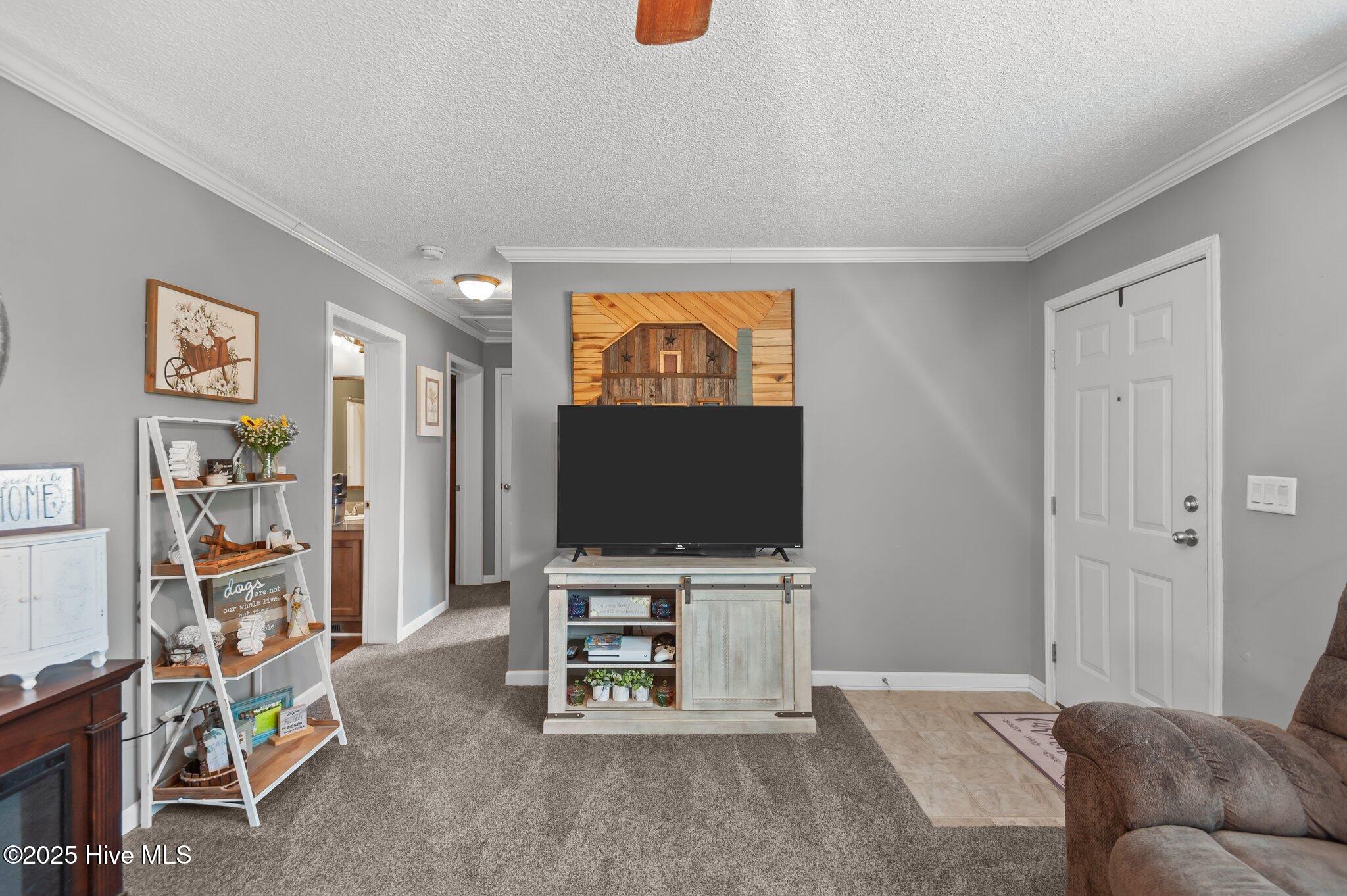 339 Dailtown Road Snow Hill, NC 28580 - Photo 13 of 45 13-web-or-mls-_DSC0310