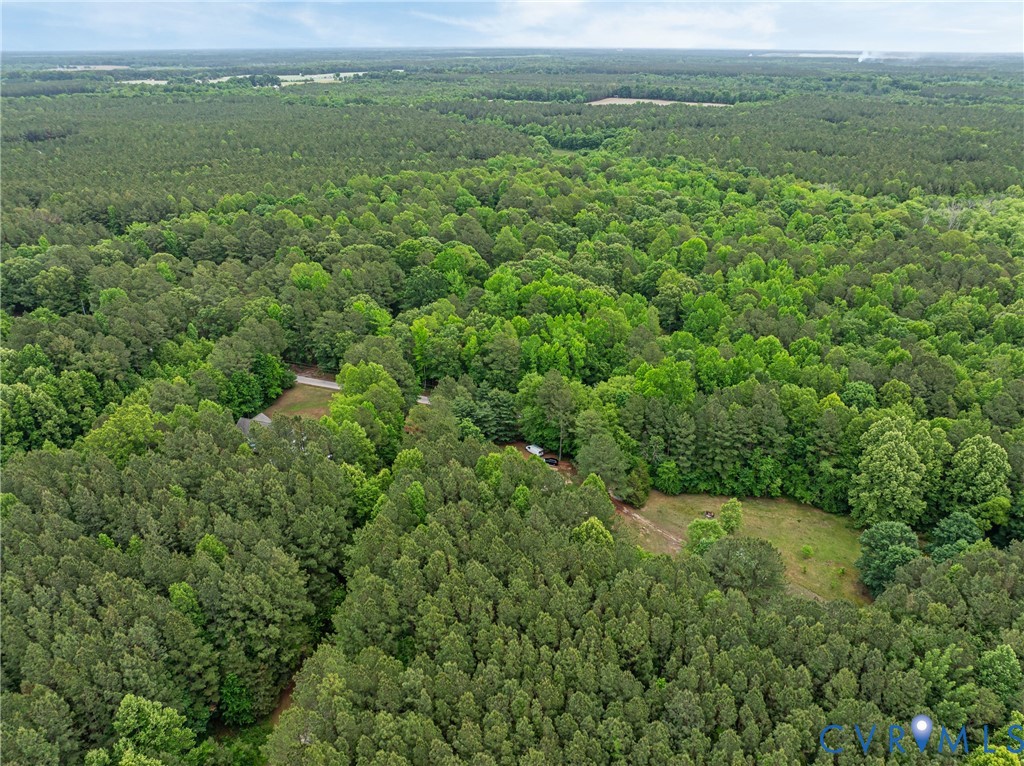 17200 Jolly Road Disputanta, VA 23842 - Photo 23 of 28