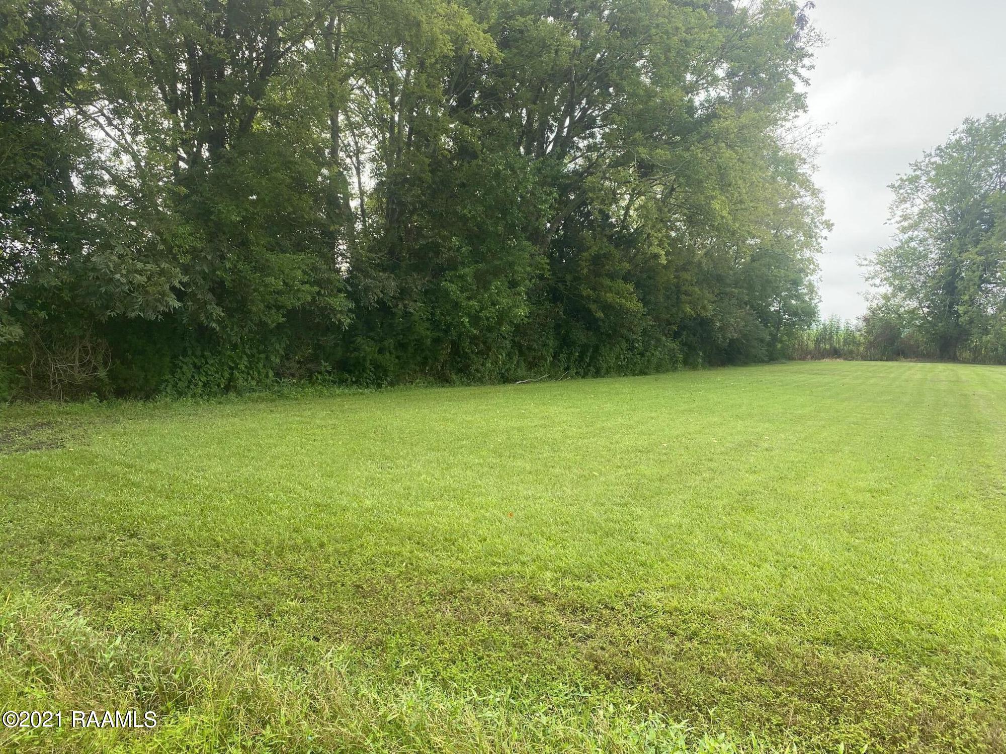 0 Rene O Guidry Road Breaux Bridge, LA 70517 - Photo 4 of 4 Gallery Image 4