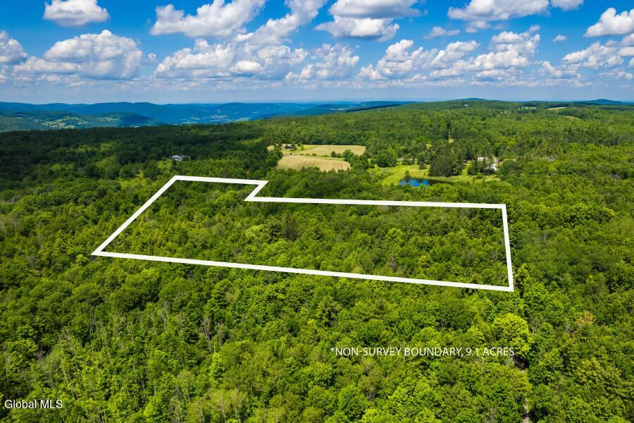 L4.111 Anderson Road Middleburgh, NY 12122 - Photo 4 of 12 1