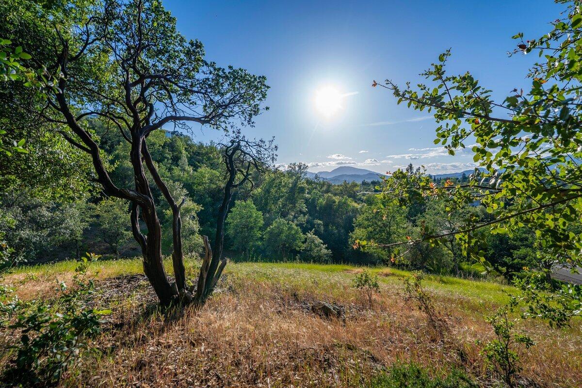 3197 Pinot Path Redding, CA 96001 - Photo 56 of 64 3197 Pinot Path - E-39- On the Top