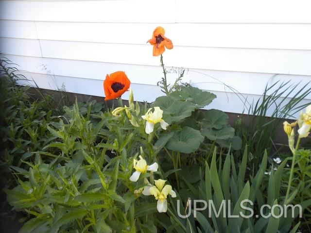 N10350 North River Street Ramsay, MI 49959 - Photo 27 of 27