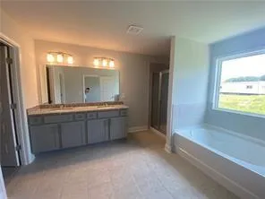 a bathroom with a double vanity sink a mirror and a bathtub