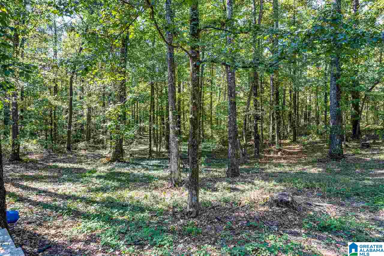 85 Laurel Road Calera, AL 35040 - Photo 36 of 43