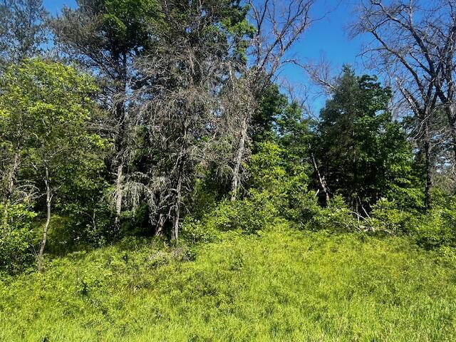 1 M-37 Baldwin, MI 49304 - Photo 9 of 15