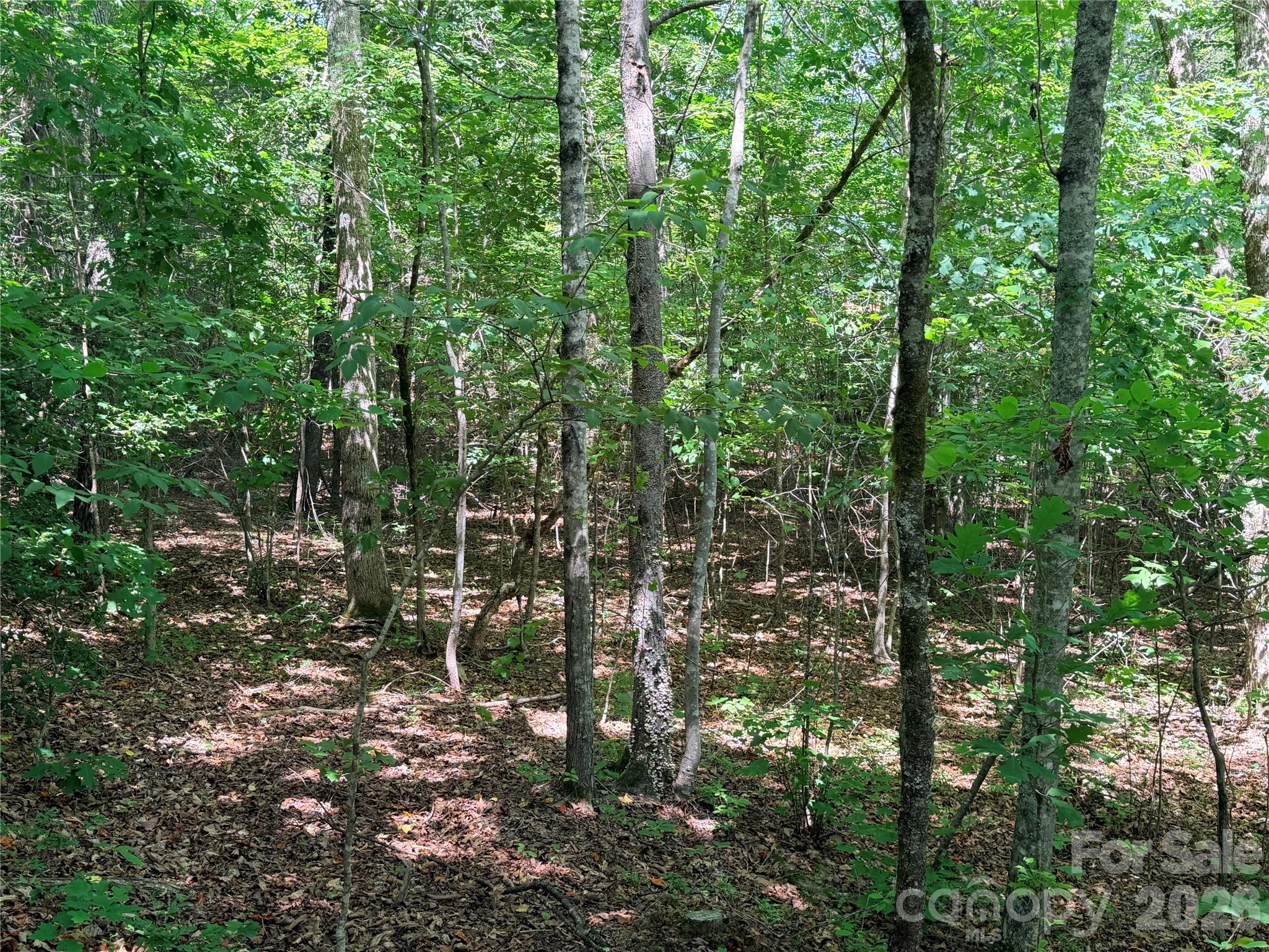 0 Grassy Knob Road, Unit 5 Mill Spring, NC 28756 - Photo 5 of 10