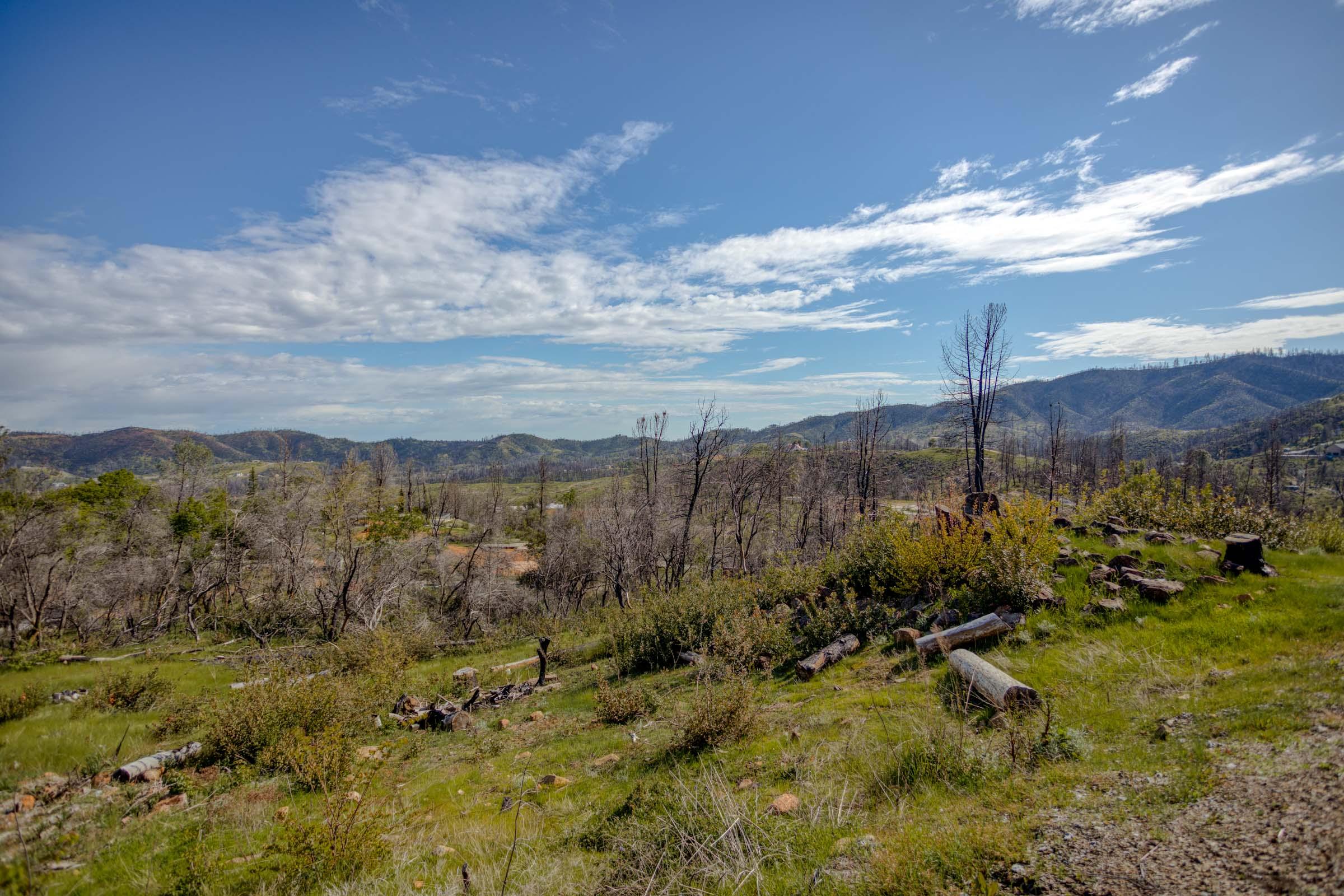 10235 Kangaroo Mine Road Redding, CA 96001 - Photo 56 of 56 HV7A3271
