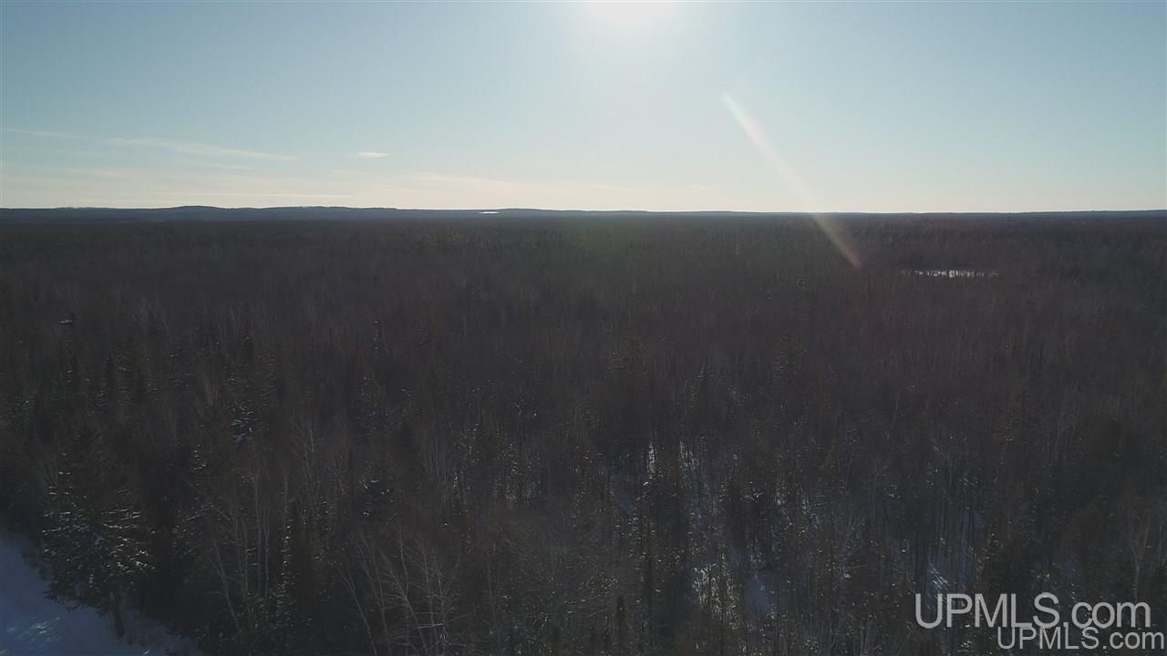 80-acres Co Rd N415 McMillan, MI 49853 - Photo 14 of 36