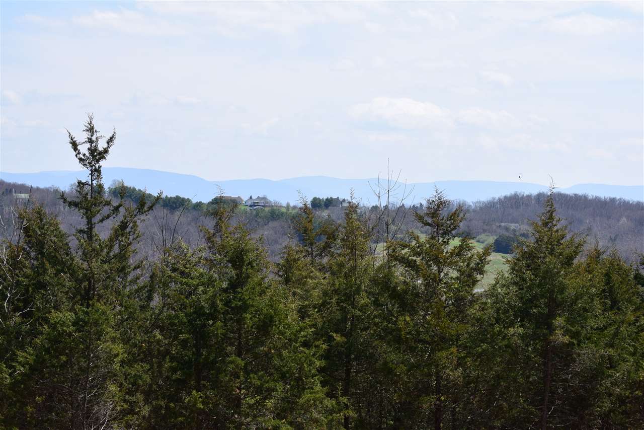 Tbd Limestone Road Verona, VA 24482 - Photo 11 of 11 a view of a city with a mountain in the background