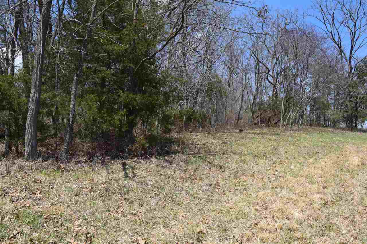 Tbd Limestone Road Verona, VA 24482 - Photo 5 of 11 a view of backyard with green space