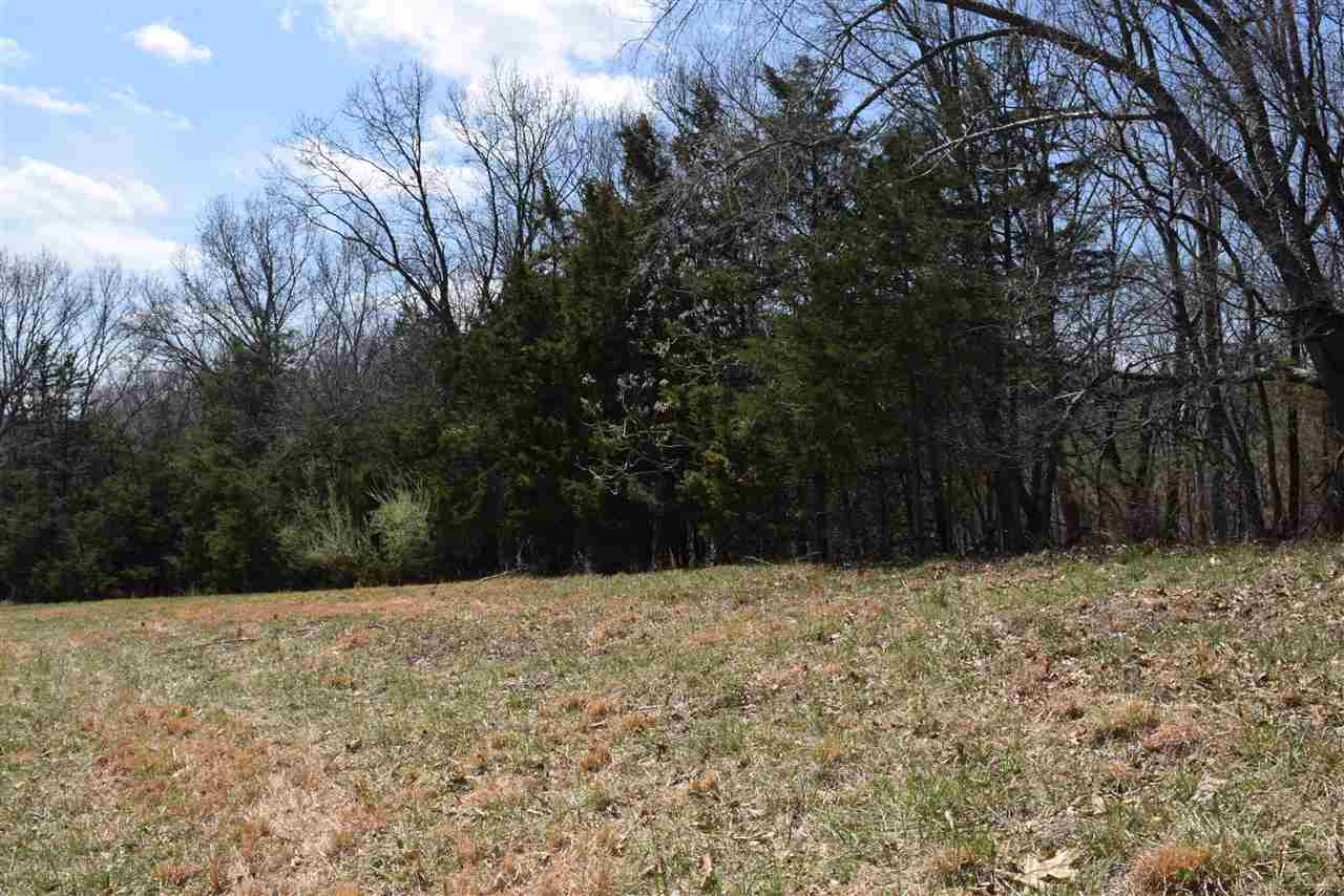 Tbd Limestone Road Verona, VA 24482 - Photo 8 of 11 a view of a yard