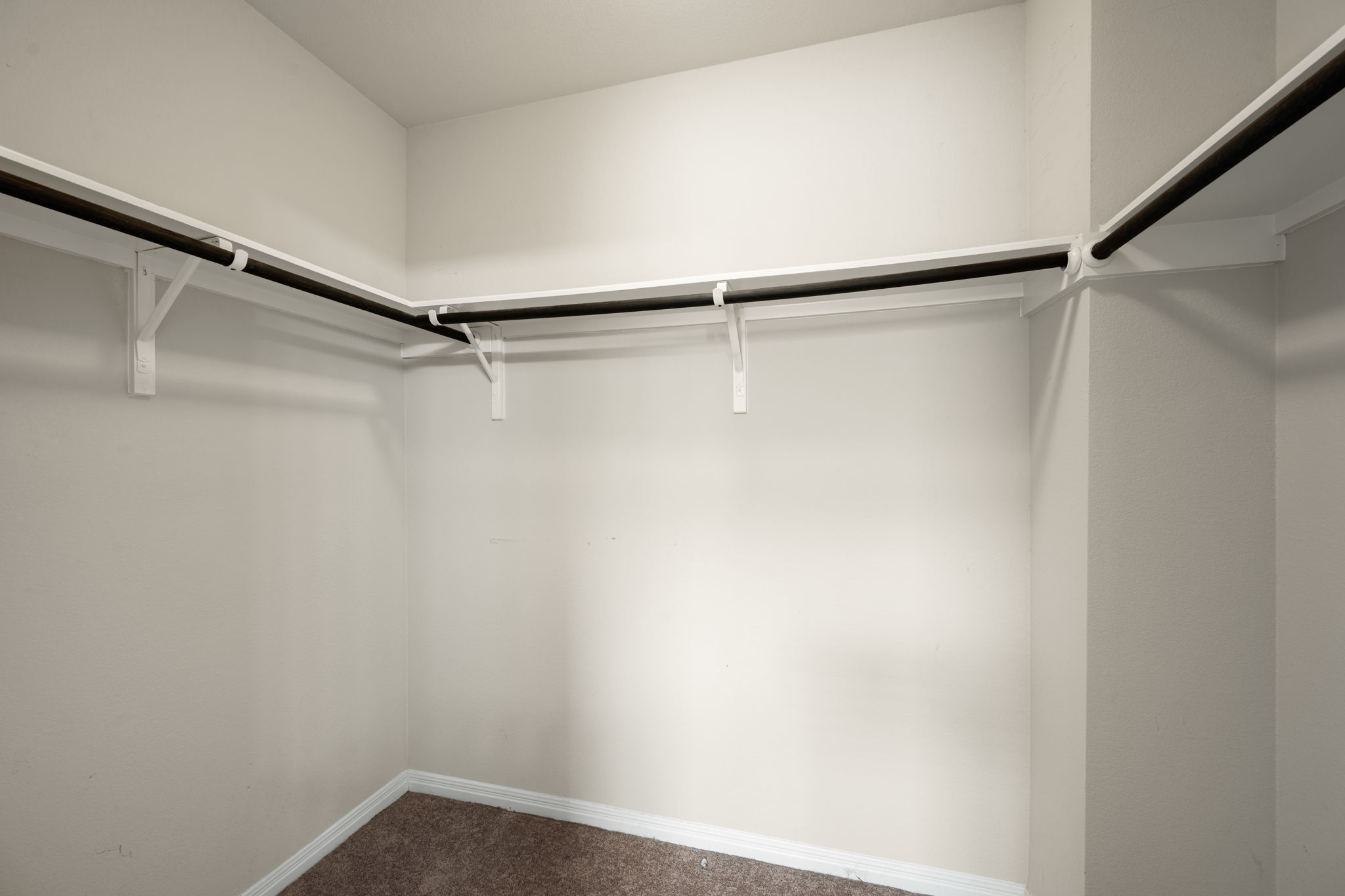 12701 Carillon Way Manor, TX 78653 - Photo 10 of 20 Spacious walk-in closet featuring light-colored walls, white baseboards, and brown carpet flooring
