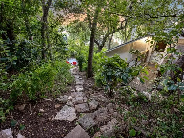 a view of a tree with a yard