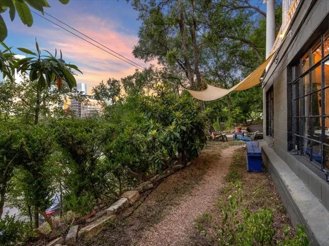 a view of a pathway with a tree