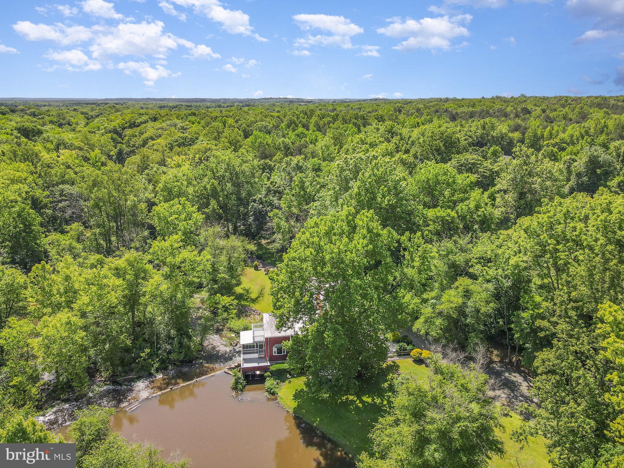 6908 South Roxbury Mill Road Spotsylvania, VA 22551 - Photo 91 of 92 a view of a green yard with lots of trees