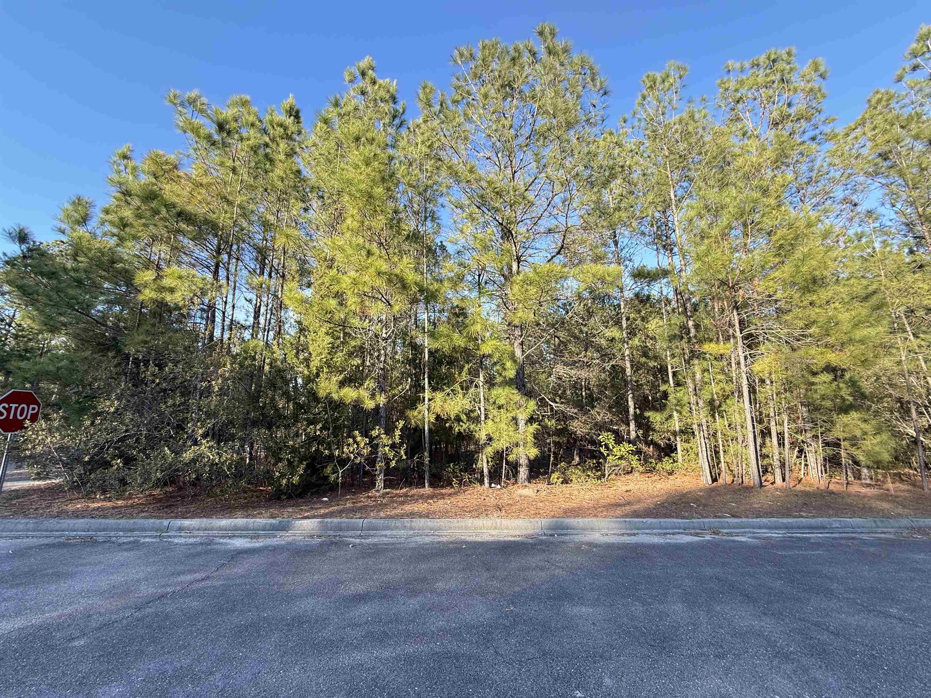 153 Bridge View Road Georgetown, SC 29440 - Photo 1 of 13 Gallery Image 1