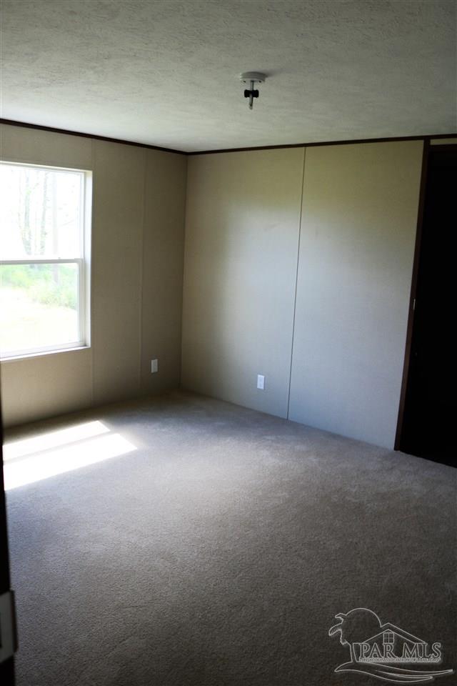 4483 Custer Lane Jay, FL 32565 - Photo 9 of 13