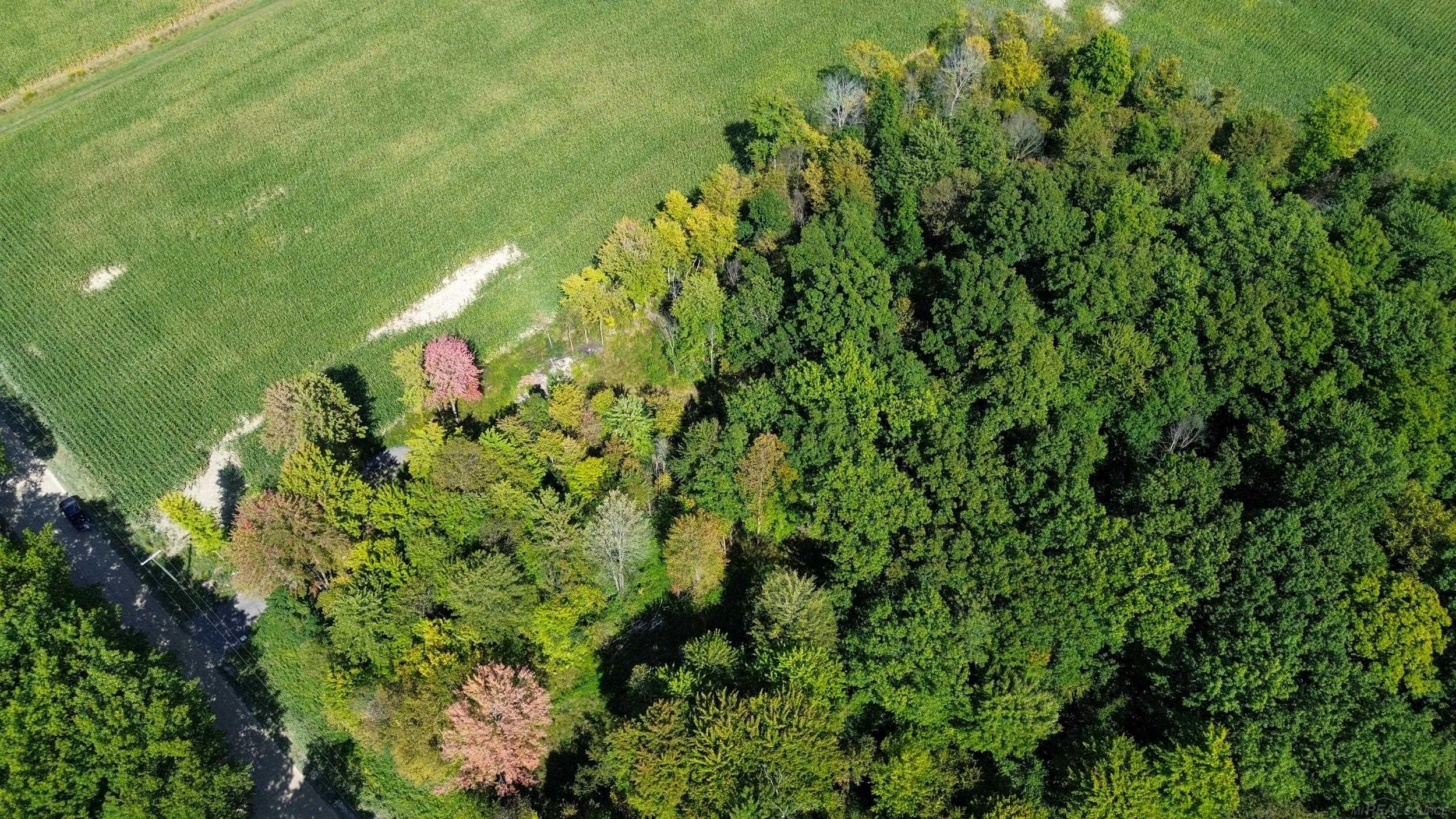 0 Lowe Plank Road Richmond, MI 48062 - Photo 2 of 8