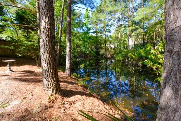 $3,435 | 1483 Cypress Pointe Drive, Mount Pleasant, SC 29466