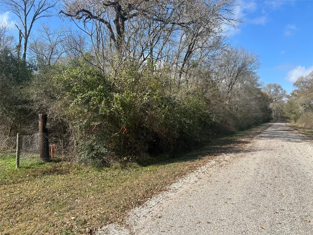 a view of a yard with trees