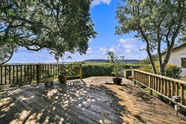a view of a backyard with large trees