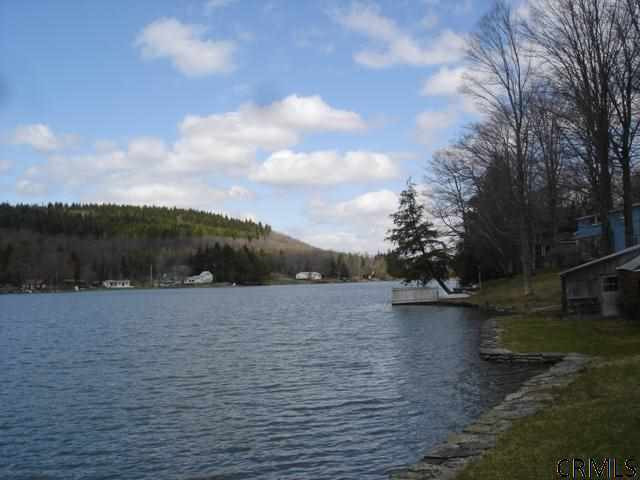 123 Bears Den Road Summit, NY 12175 - Photo 3 of 8 Photo 3