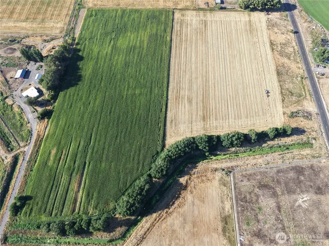 a view of a backyard with plants