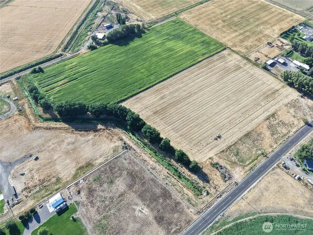 a view of a backyard with plants